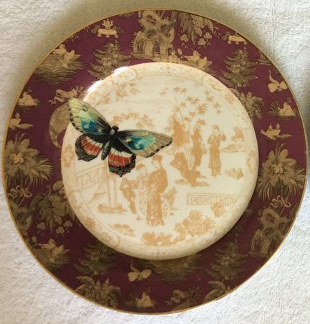 Mandarin Toile Salad Plate