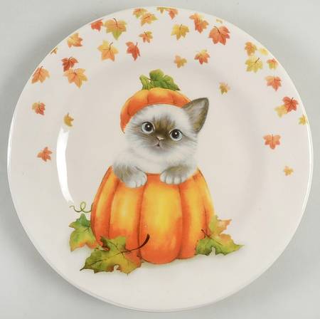 Cat in a Pumpkin by Pier 1