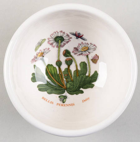 Botanic Garden Harmony Individual Salad/Dessert/Fruit Bowl