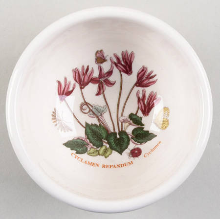Botanic Garden Harmony Individual Salad/Dessert/Fruit Bowl
