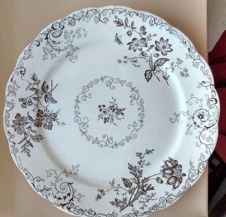 Chelsea Brown (Scalloped) by Powell, Bishop &amp; Stonier