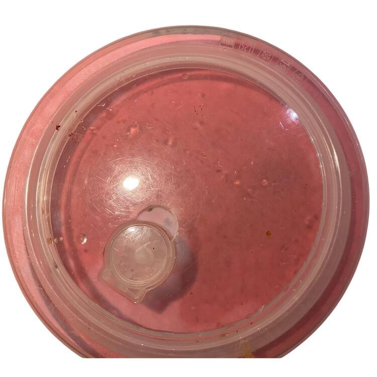 Mazie 6" Round Baker-Plastic Lid