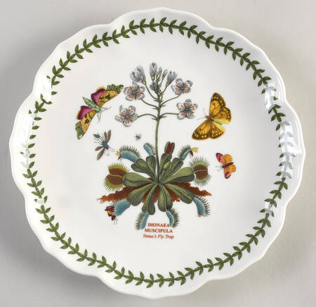 Botanic Garden Lotus Blossom Salad Plate
