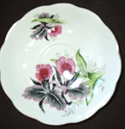 QUA17 Saucer