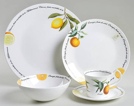 Fruits du Soleil 5 Piece Place Setting