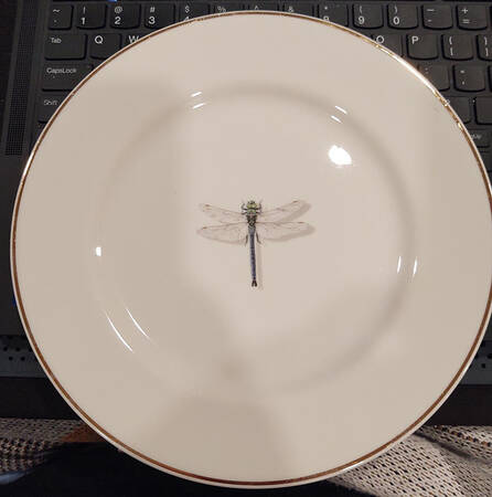 QUE4 Salad Plate