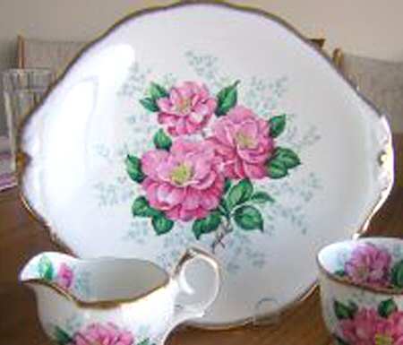 Camellia by Queen Anne (England)