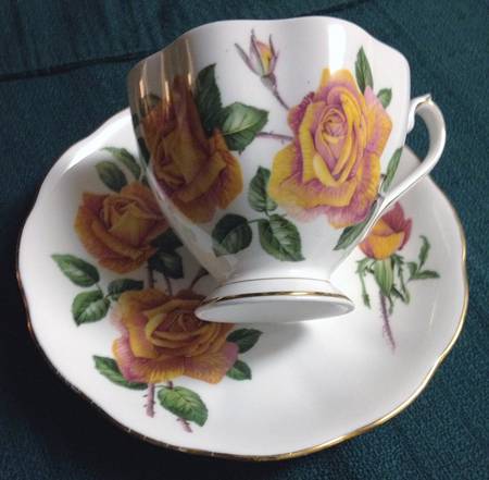 Anniversary Rose by Queen Anne (England)