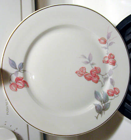 1378 Dinner Plate