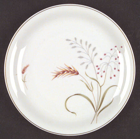 3162 (Form E) by Rosenthal - Continental