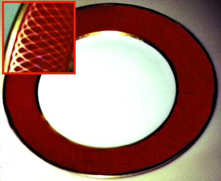 3185 (Red Border) by Rosenthal - Continental