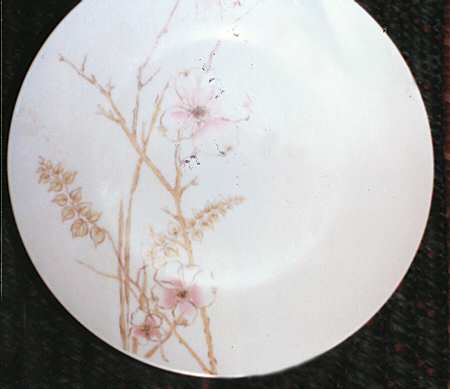 3414 Dinner Plate