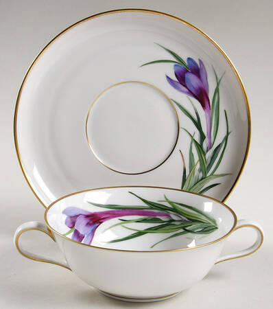 Alpine Flowers Flat Cream Soup Bowl & Saucer Set by Rosenthal - Continental