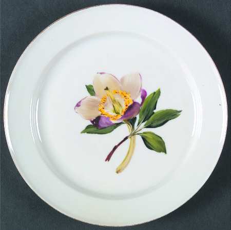 Alpine Flowers Bread & Butter Plate