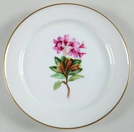 Alpine Flowers Salad Plate