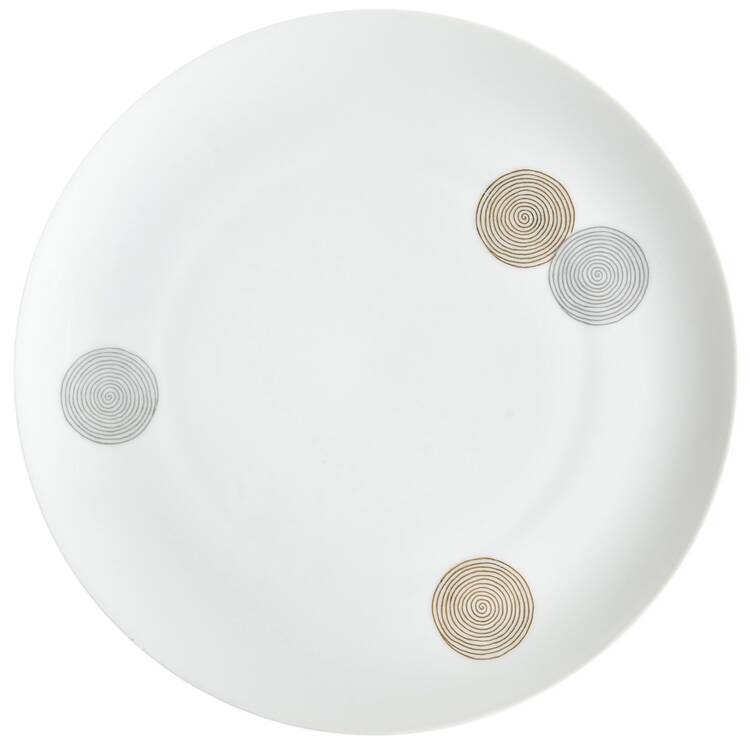 Coins Large Dinner Plate