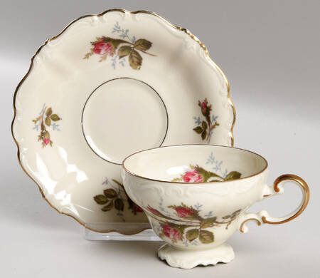 Moss Rose (Pompadour, Ivory Body, Off Center) Footed Cup & Saucer Set by Rosenthal - Continental