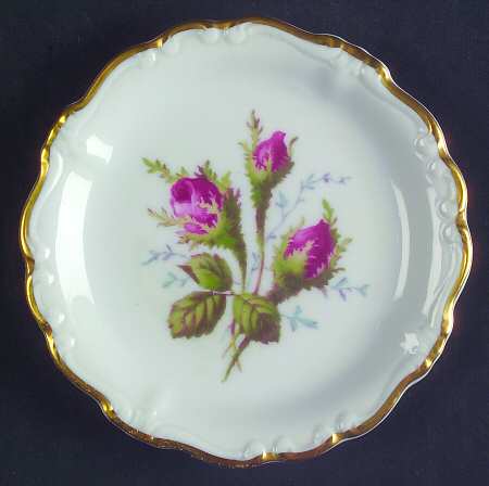 Moss Rose (Pompadour, White Body, Off Center) Coaster