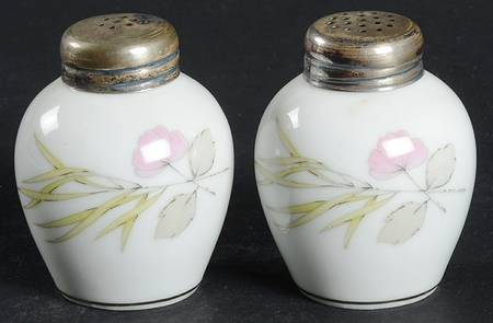 Parisian Spring White (Platinum Trim) Salt & Pepper Set