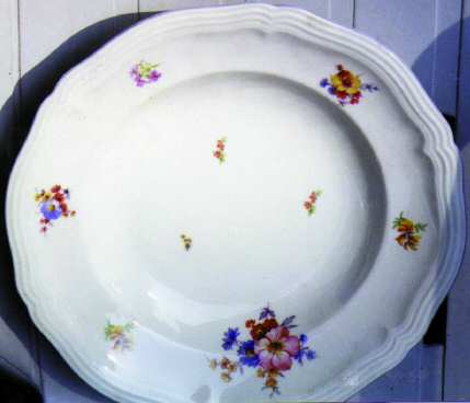 R170 Dinner Plate