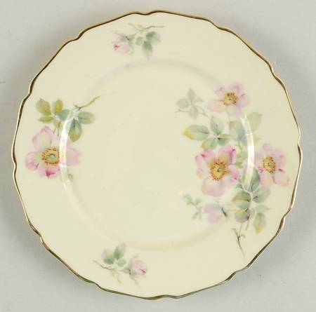 R176 Bread & Butter Plate