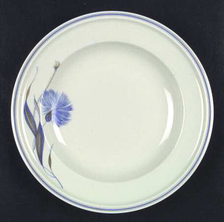 R201 Large Rim Soup Bowl