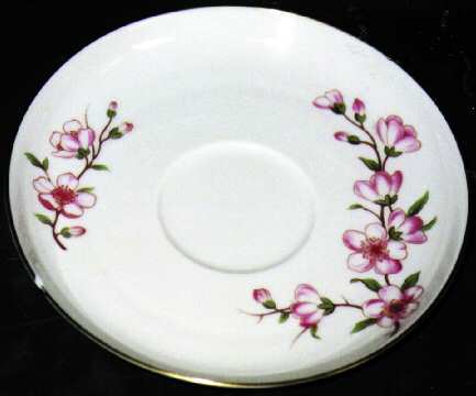 R220 Saucer