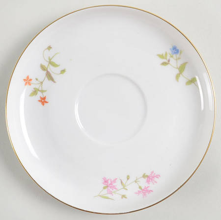 R221 Saucer