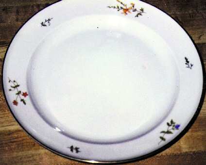 R221 Dinner Plate