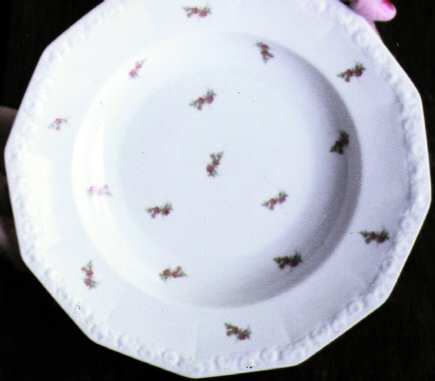 R232 Dinner Plate