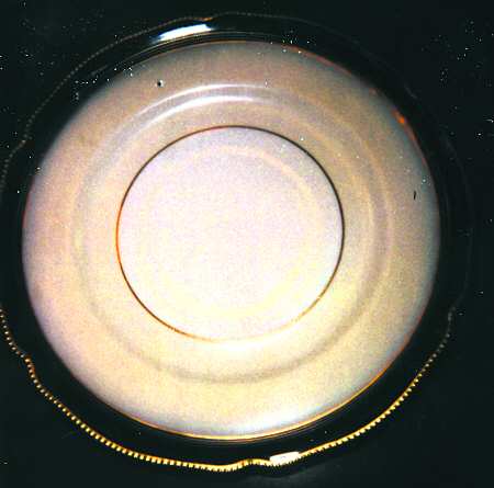 Regent Cobalt (Blue Band, Gold Trim) Saucer