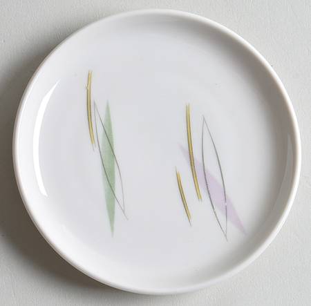 Silvana Coaster