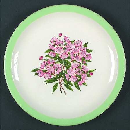Mountain Laurel (Pennsylvania) by Syracuse