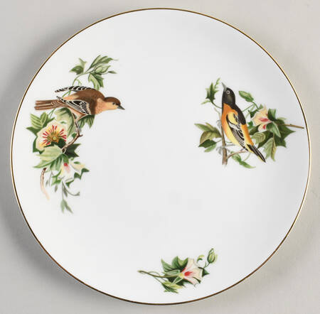 Audubon Birds Salad Plate