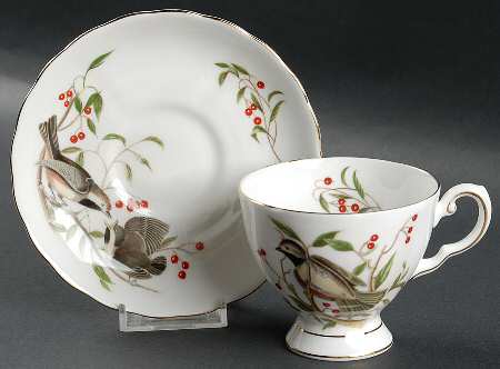 Audubon Birds Footed Cup & Saucer Set