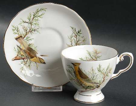 Audubon Birds Footed Cup & Saucer Set