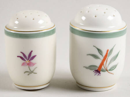 Fiesta Salt & Pepper Set