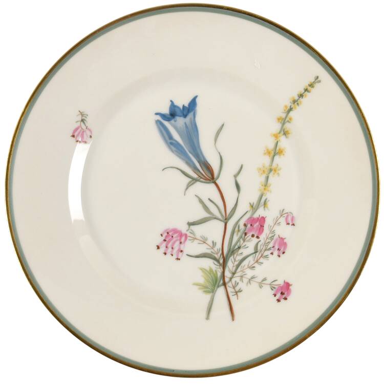 Fiesta Luncheon Plate