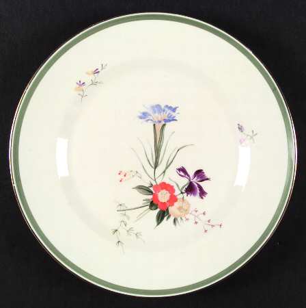 Fiesta Dinner Plate