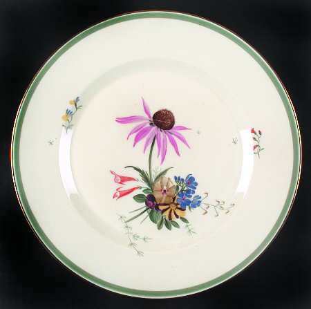 Fiesta Dinner Plate