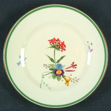 Fiesta Dinner Plate