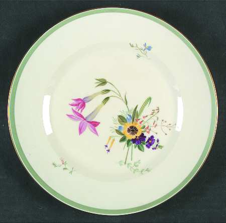 Fiesta Dinner Plate