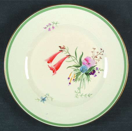 Fiesta Dinner Plate