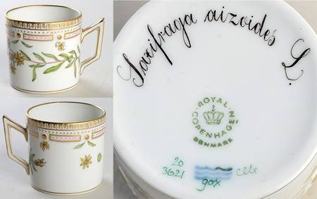 Flora Danica (1961 To Current) Flat Demitasse Cup-Saxifrage aioides L
