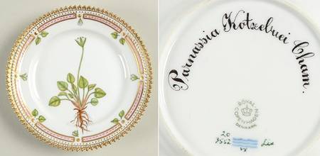 Flora Danica (1961 To Current) Bread & Butter Plate-Parnassia kotzebuei Cham.