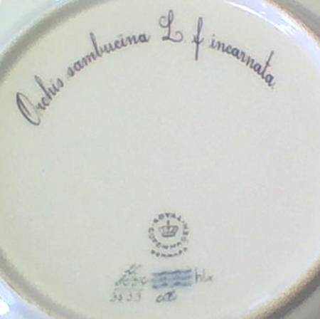 Flora Danica (1961 To Current) 9" Pierced Luncheon Plate/Fruit Std-Orchis sambuei
