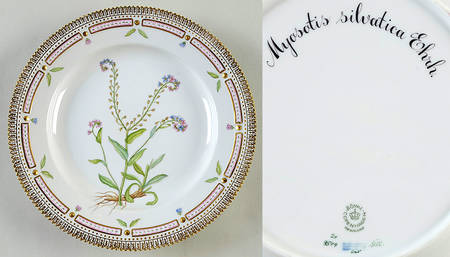 Flora Danica (1961 To Current) Dinner Plate-Myosotis sylvatica Hoffm