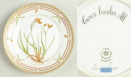 Flora Danica (1961 To Current) Bread & Butter Plate-Carex bicolor All.