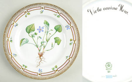 Flora Danica (1961 To Current) Dinner Plate-Viola canina Horn.