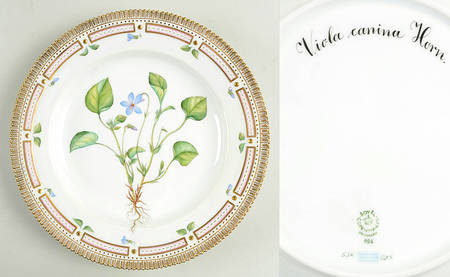 Flora Danica (1961 To Current) Dinner Plate-Viola canina Horn